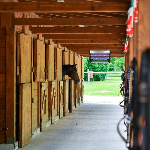 Lampada insetticida UVA 40 W, argento - 11