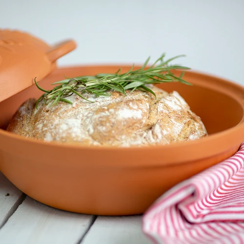Lievito madre di frumento con lievito - 23 g - 5