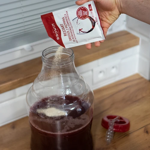 Lievito Restart - 22 g - 4