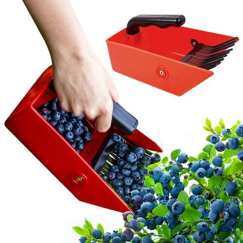 Macchina per la raccolta di piccoli frutti, denti in metallo - 6