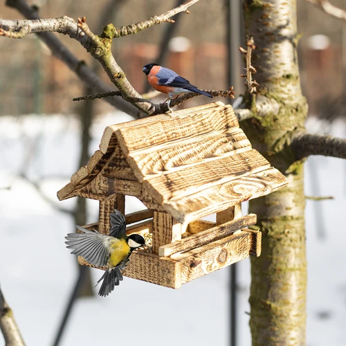 Mangiatoia per uccelli in legno, bruciata, casetta montanara - 11