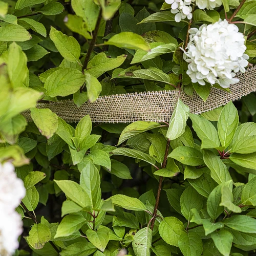 Nastro di juta 5 cm / 8 m - 5