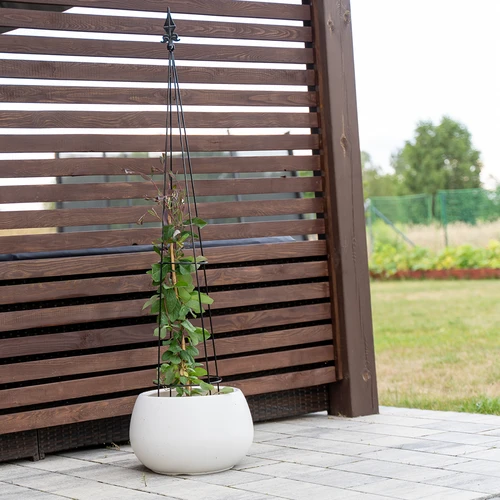 Pergola in metallo - Piramide, 135 cm - 4