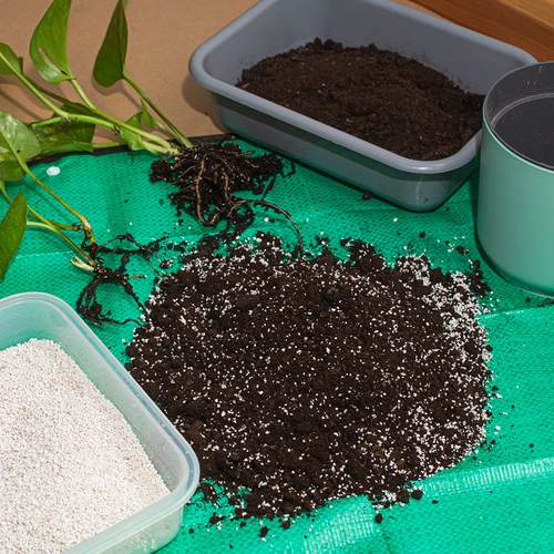 Perlite per piante in vaso e giardinaggio, 2L - 7