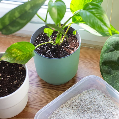 Perlite per piante in vaso e giardinaggio, 2L - 8