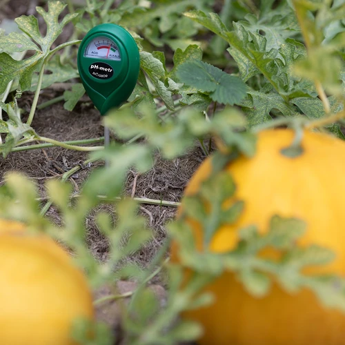 pHmetro per il Terreno - 12