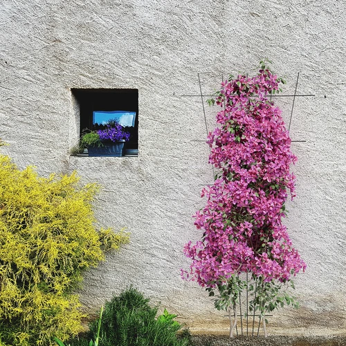Podpora do roślin - krata (150cm x 75cm) 2 sztuki - 4