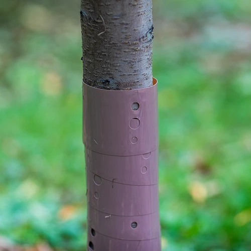 Protezione per alberelli - spirale - Ø 3,5 x 80 cm - 3
