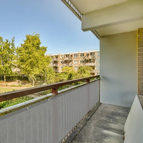 Rete ombreggiante (80%, 140 g/m²) 0,9 x 5 m, grafite - 8