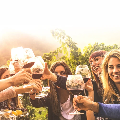 Set per vino 15 L con damigiana in vetro - 15