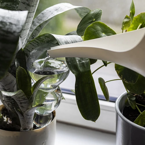 Sfera autoinnaffiante tripla (a tre camere), trasparente incolore, 600 ml - 6