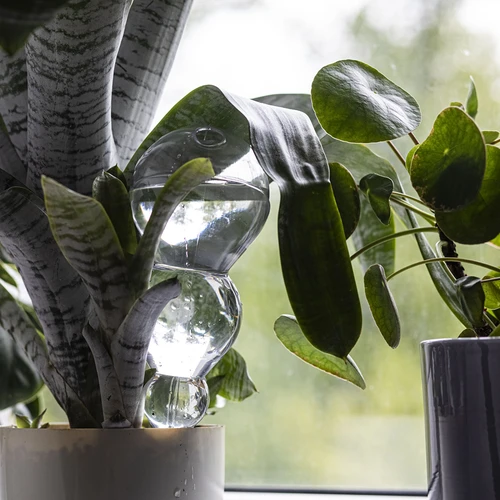 Sfera autoinnaffiante tripla (a tre camere), trasparente incolore, 600 ml - 7