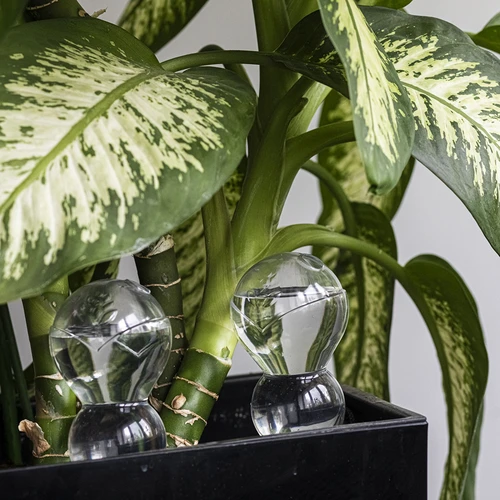 Sfera autoinnaffiante tripla (a tre camere), trasparente incolore, 600 ml - 8