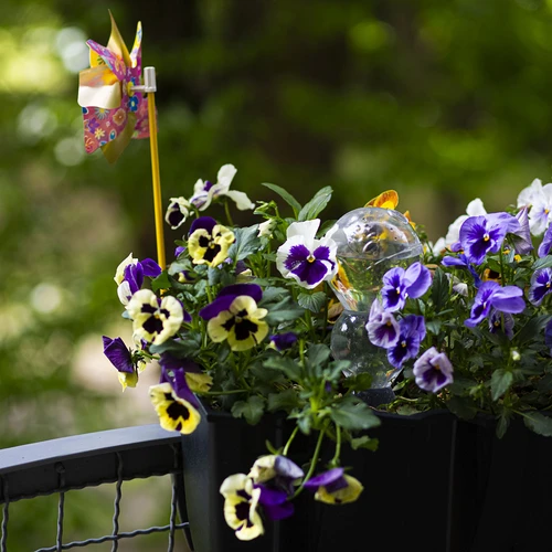 Sfera autoinnaffiante tripla (a tre camere), trasparente incolore, 600 ml - 9