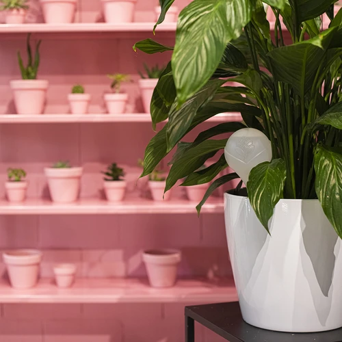 Sfera autoirrigante per piante, bianca opaca con punta in ceramica, 400 ml - 10