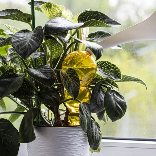 Sfera autoirrigante tripla (a tre camere), giallo trasparente, 600 ml - 6