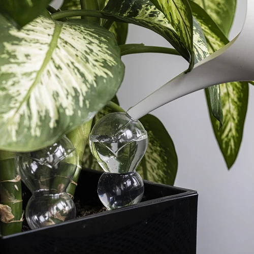 Sfera autoirrigante tripla (a tre camere), trasparente incolore, con puntale in ceramica, 600 ml - 7