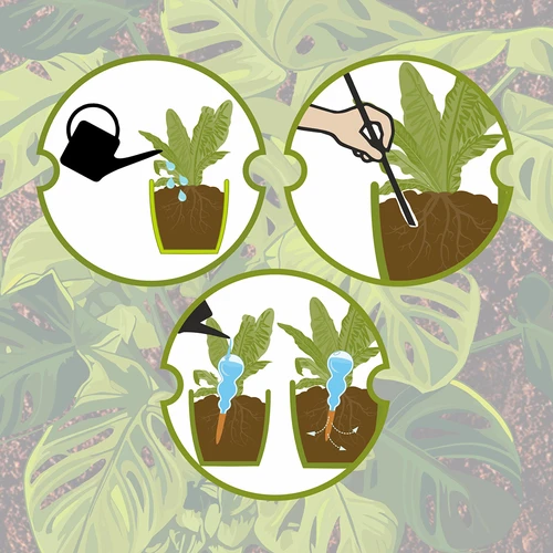 Sfera autoirrigante tripla (a tre camere), trasparente incolore, con puntale in ceramica, 600 ml - 10