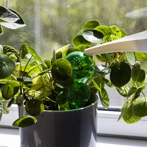 Sfera autoirrigante tripla (a tre camere), verde trasparente, 600 ml - 6