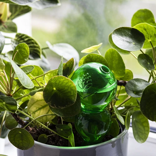 Sfera autoirrigante tripla (a tre camere), verde trasparente, 600 ml - 7