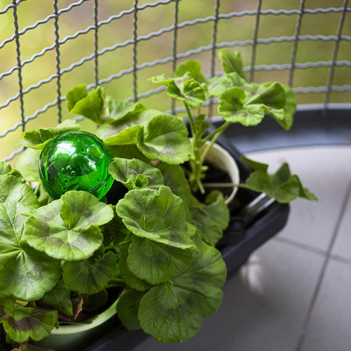 Sfera autoirrigante tripla (a tre camere), verde trasparente, 600 ml - 8