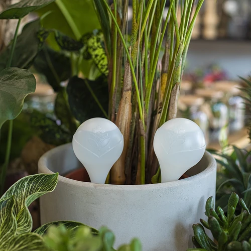 Sfera di irrigazione per piante, bianca opaca con piedino in ceramica, 400ml - 9