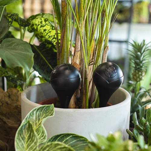 Sfera di irrigazione per piante, nera opaca con piedino in ceramica (in confezione) 400 ml - 10