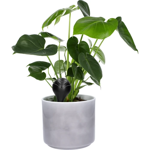 Sfera di irrigazione per piante, nera opaca con piedino in ceramica (in confezione) 400 ml - 8