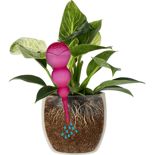Sfera di irrigazione tripla (a tre camere), rosa trasparente, 600 ml - 3