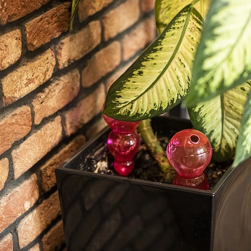 Sfera di irrigazione tripla (a tre camere), rosa trasparente, 600 ml - 8