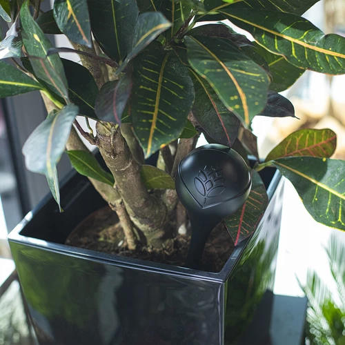 Sfera irrigante per piante, nera opaca, con picchetto in ceramica (in confezione) 400 ml - 11