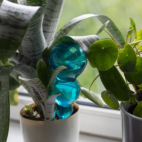 Sfera irrigante tripla (a tre camere), blu trasparente, 600 ml - 6