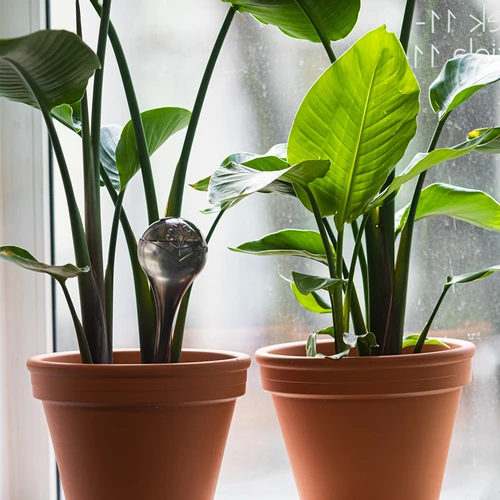 Sfere autoirriganti per piante, nere trasparenti, 400 ml, 4 pz - 8