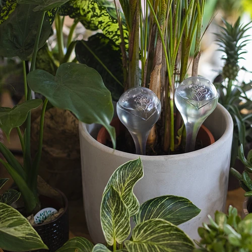 Sfere autoirriganti per piante, trasparenti, 400 ml, 2 pz. - 9