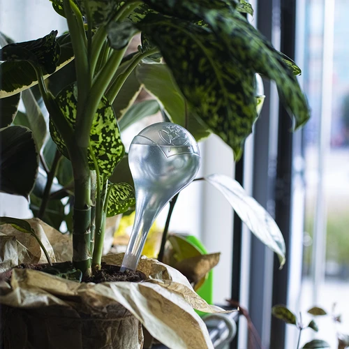 Sfere autoirriganti per piante, trasparenti, 400 ml, 2 pz. - 12