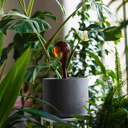 Sfere autoirriganti per piante, trasparenti color ambra, 400 ml, 2 pz. - 10