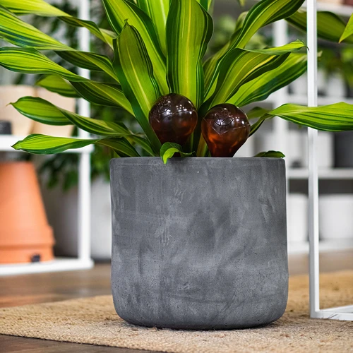 Sfere autoirriganti per piante, trasparenti color ambra, 400 ml, 2 pz. - 13