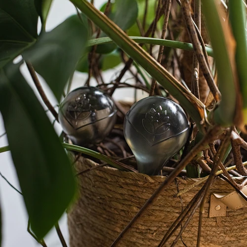 Sfere autoirriganti per piante, trasparenti nere, 400 ml, 2 pezzi - 14