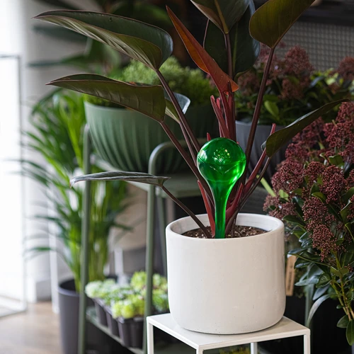 Sfere autoirriganti per piante, verdi trasparenti, 400 ml, 4 pezzi - 9