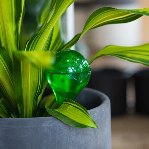 Sfere autoirriganti per piante, verdi trasparenti, 400 ml, 4 pezzi - 10