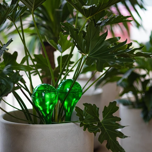 Sfere autoirriganti per piante, verdi trasparenti, 400 ml, 4 pezzi - 12