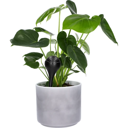 Sfere di irrigazione per piante, nere opache, 400 ml, 4 pezzi - 6