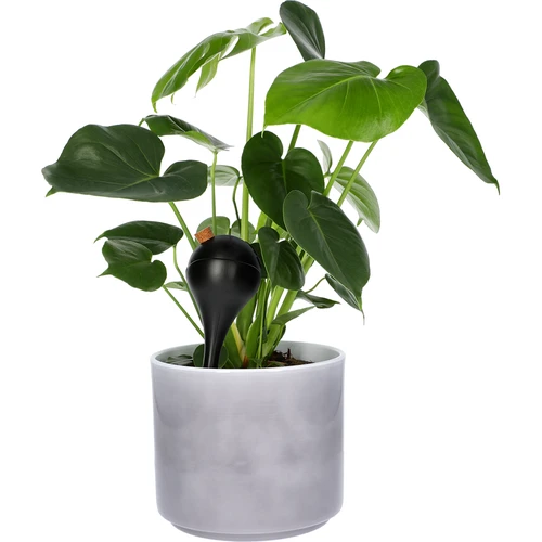 Sfere di irrigazione per piante, nere opache, con tappo, 400ml, 4 pezzi - 7