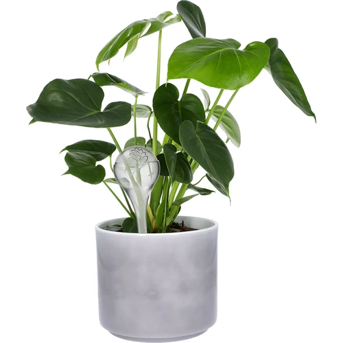 Sfere di irrigazione per piante, trasparenti, 400 ml, 2 pz. - 7
