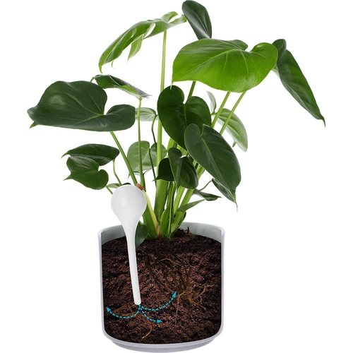 Sfere irriganti per piante, bianche semitrasparenti con tappo, 400 ml, 4 pezzi - 6