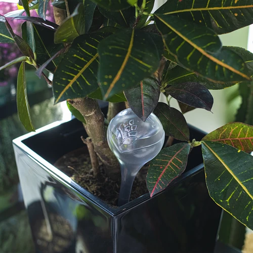 Sfere irriganti trasparenti, 400 ml, 4 pezzi - 9