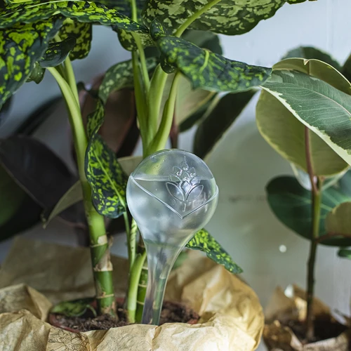 Sfere irriganti trasparenti, 400 ml, 4 pezzi - 10