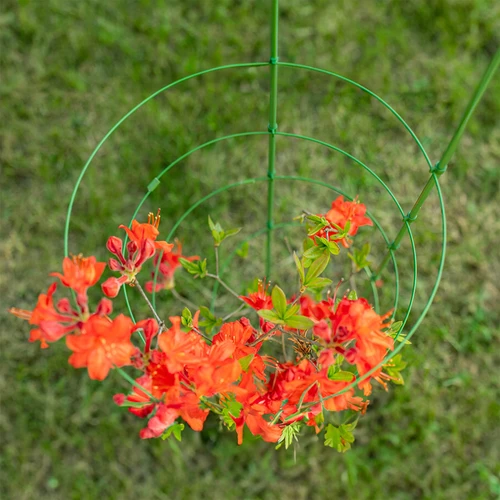 Sostegno ad anelli per piante, 3 anelli, 1,2 m - 5