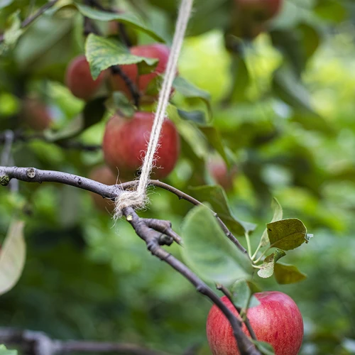 Spago in iuta 2 mm/110 m/250 g - 8