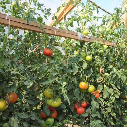 Spago in polipropilene 1 mm/65 m/50 g - 7